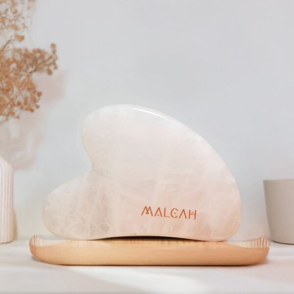 אבן גוואשה לפיסול ועיצוב הפנים (כולל נרתיק לשמירה)