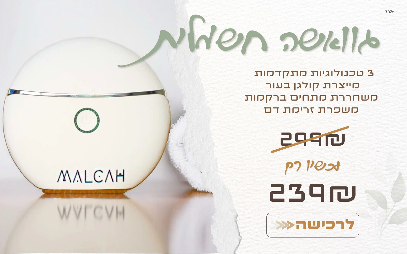 גוואשה חשמלית ב239 במקום 299